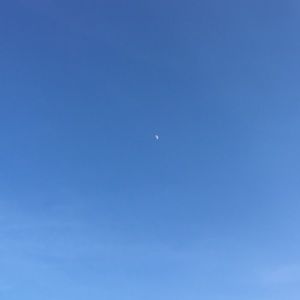 Meet your Posher, Jared